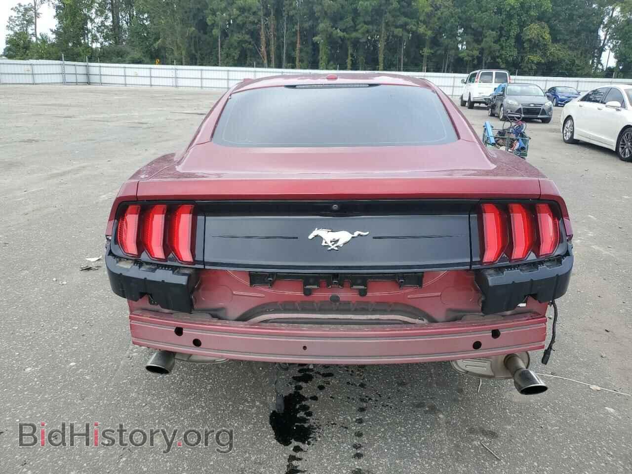 2019 FORD ALL Models - VIN: 1FA6P8TH5K5203869 - Photo 6