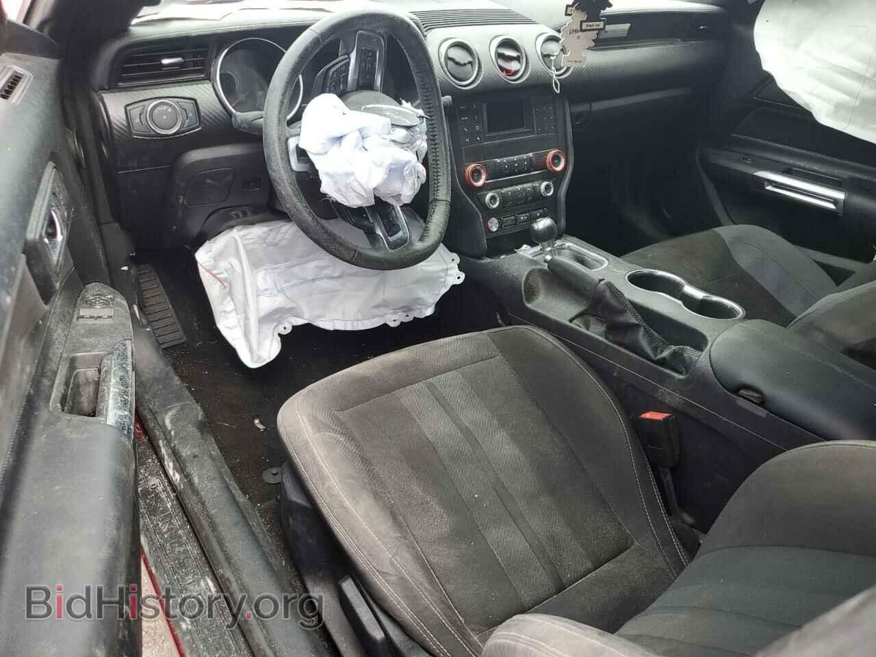 2019 FORD ALL Models - VIN: 1FA6P8TH5K5203869 - Photo 8