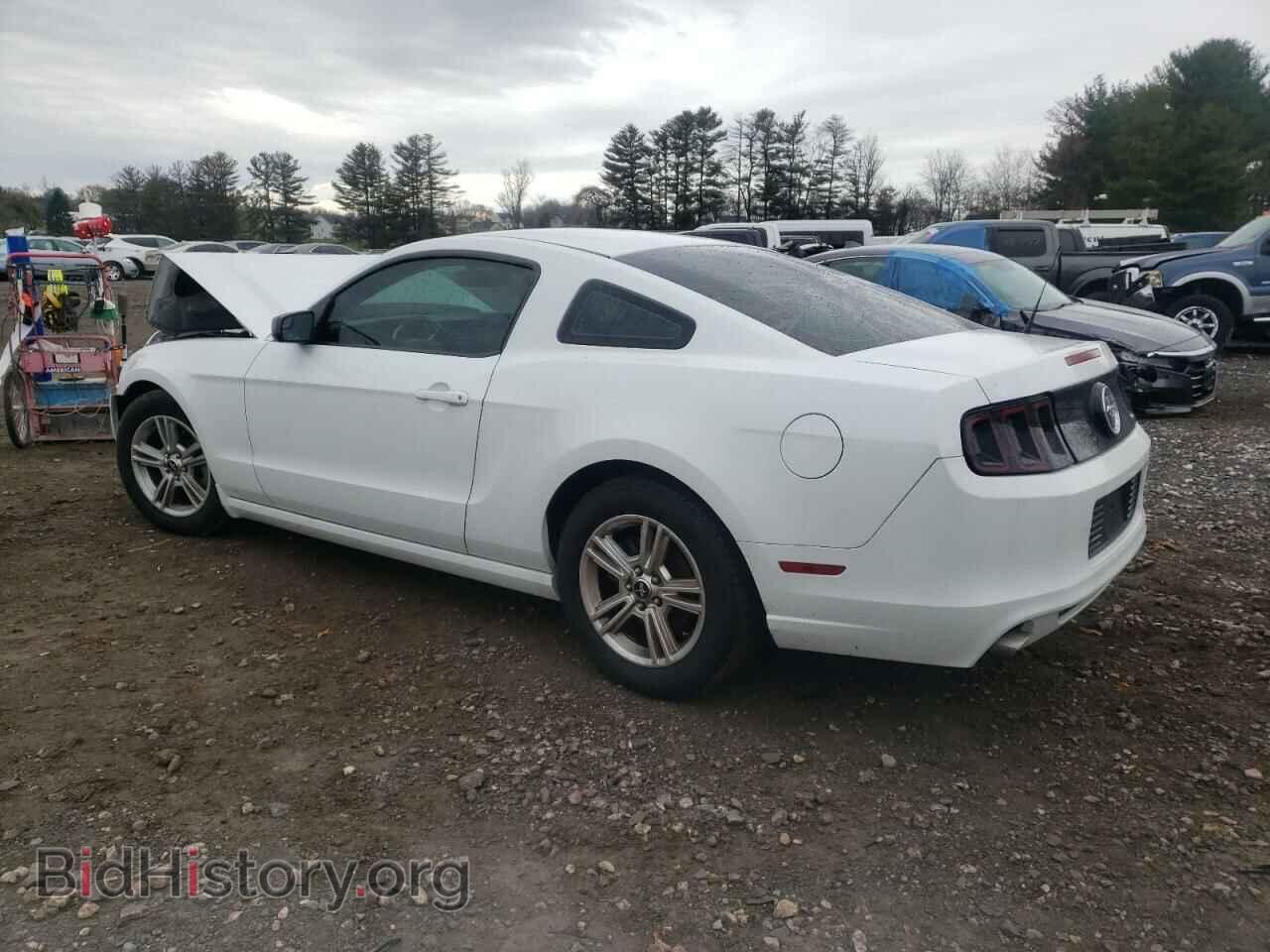 2014 FORD MUSTANG - VIN: 1ZVBP8AM8E5211605 - Фото 2