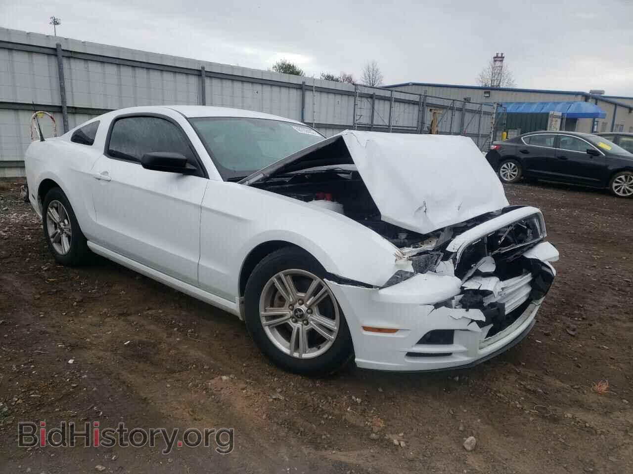 2014 FORD MUSTANG - VIN: 1ZVBP8AM8E5211605 - Фото 4