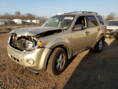 2010 Ford ESCAPE Escape XLT, бежевый — VIN 1FMCU0DG7AKB78367, Copart
