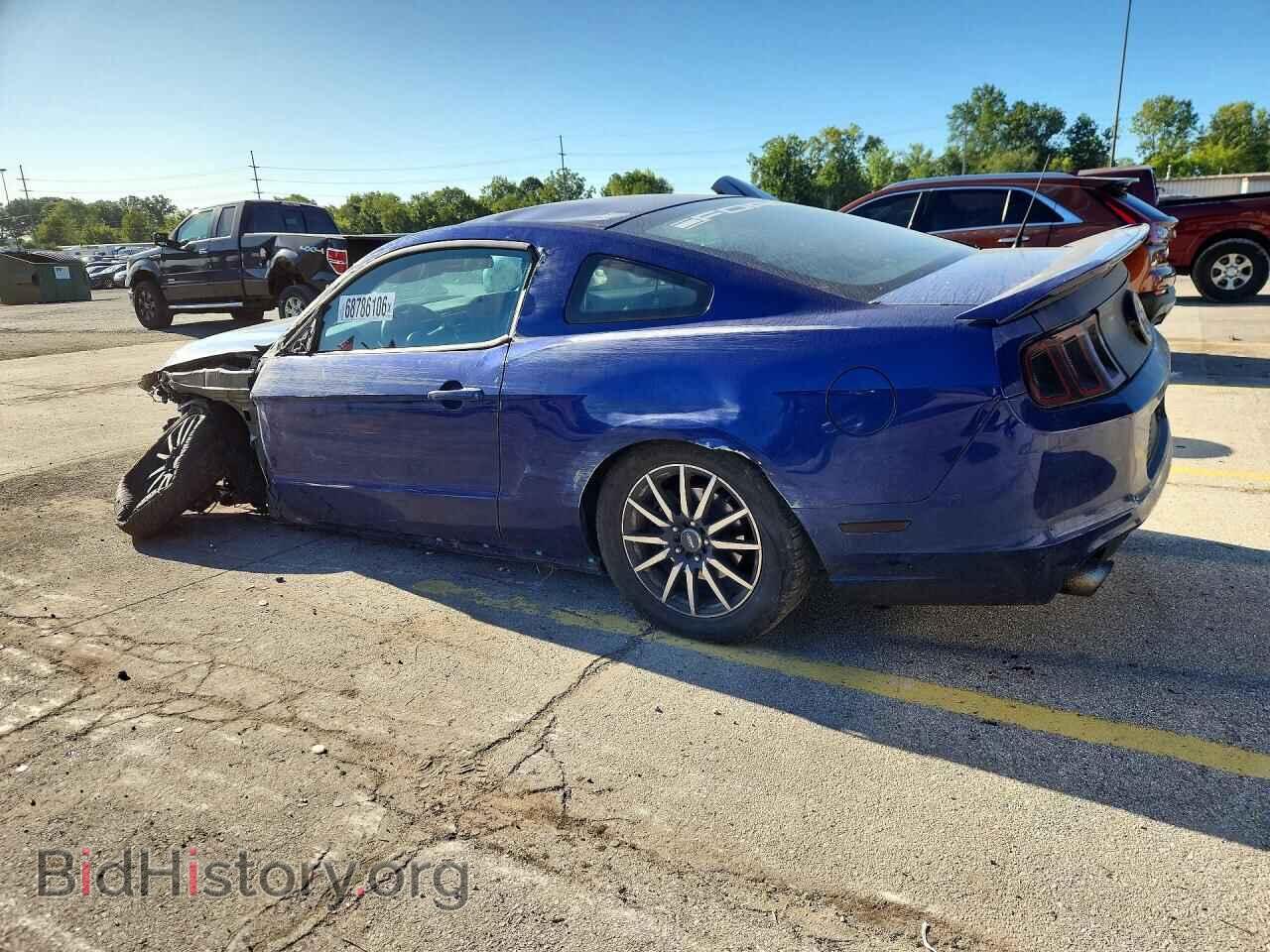 2013 FORD MUSTANG - VIN: 1ZVBP8AM8D5252685 - Фото 2