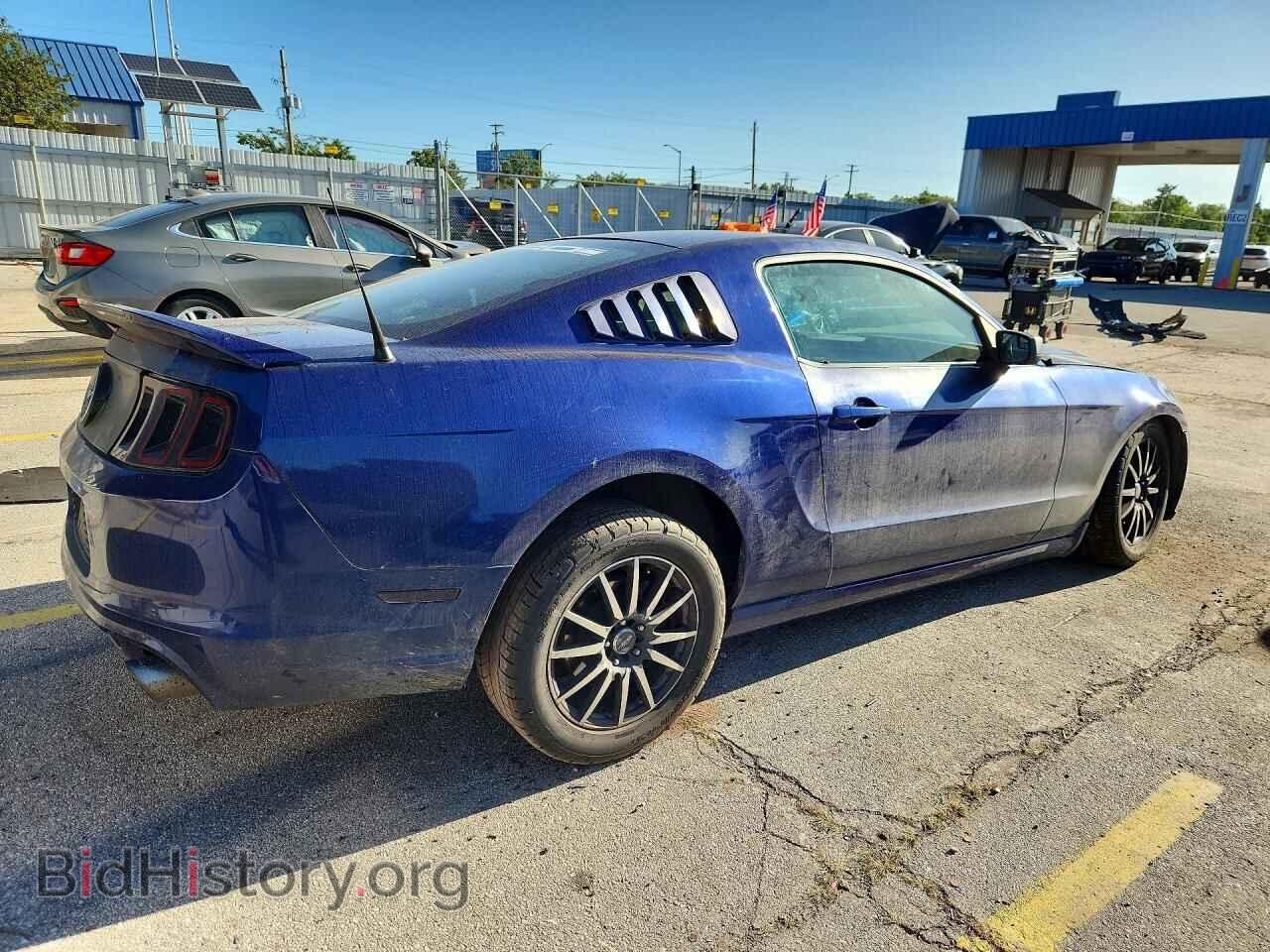 2013 FORD MUSTANG - VIN: 1ZVBP8AM8D5252685 - Фото 3