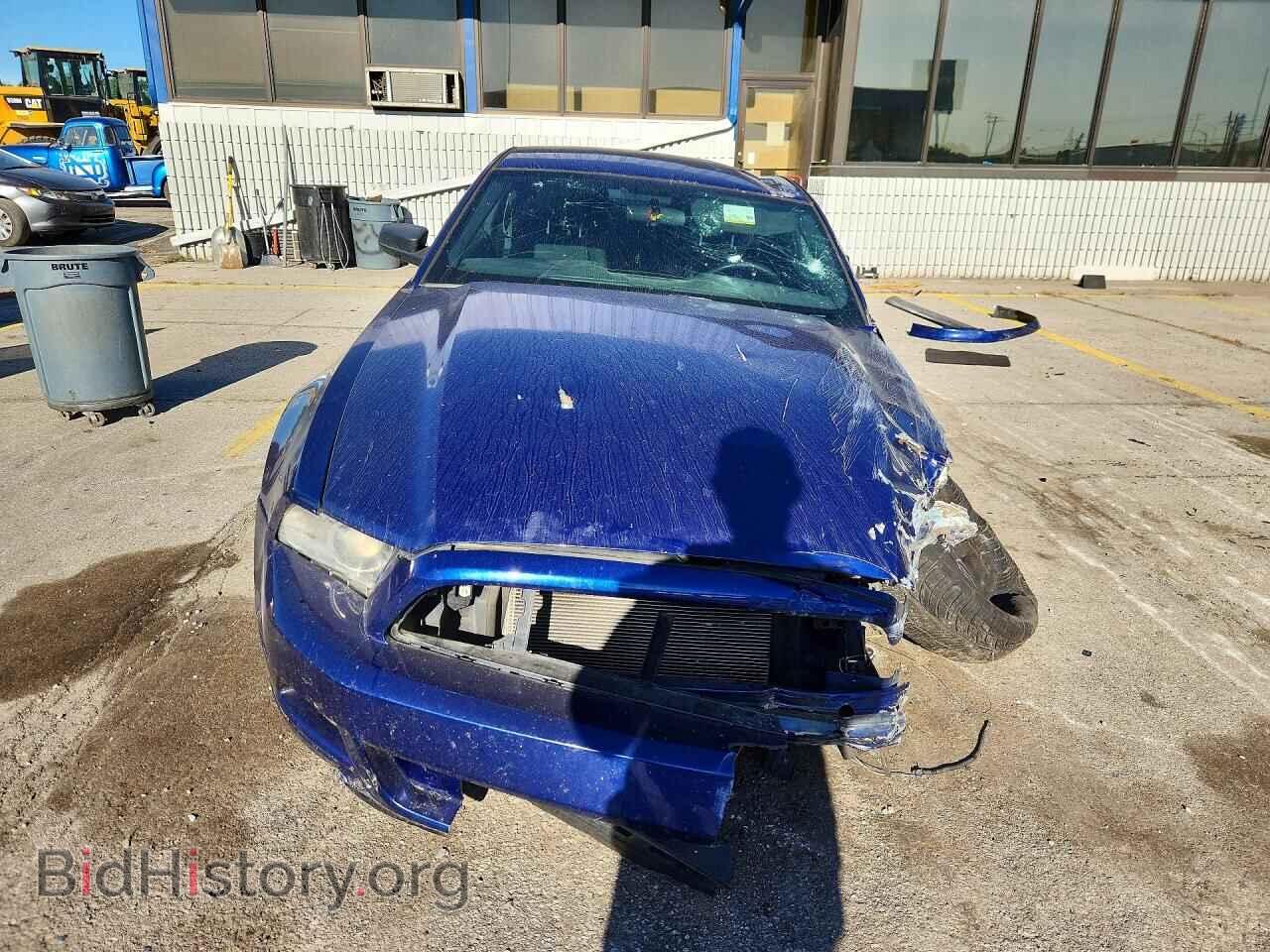 2013 FORD MUSTANG - VIN: 1ZVBP8AM8D5252685 - Фото 5