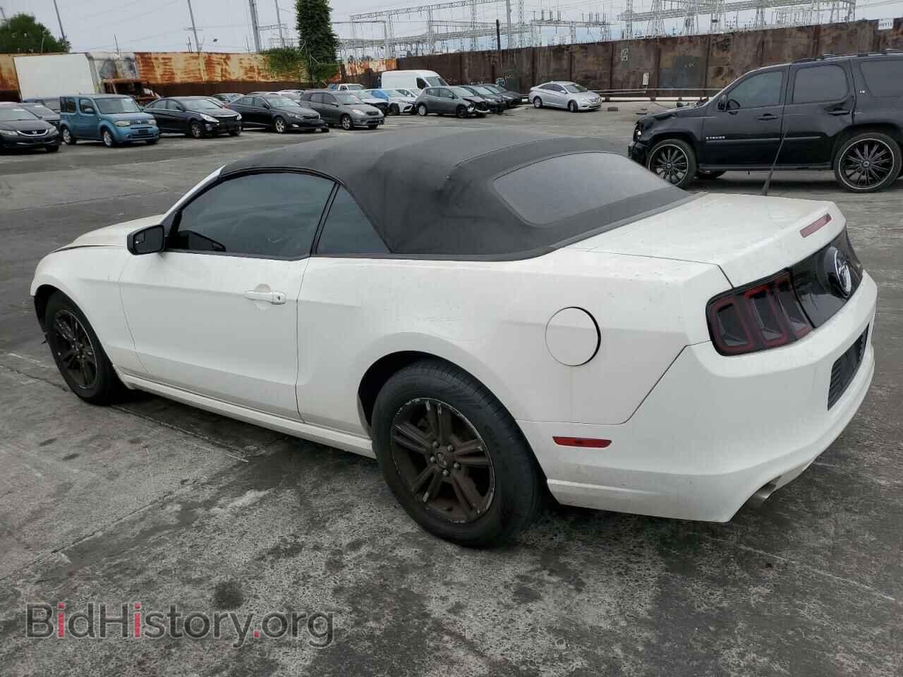 2013 FORD ALL Models - VIN: 1ZVBP8EM8D5272297 - Фото 2