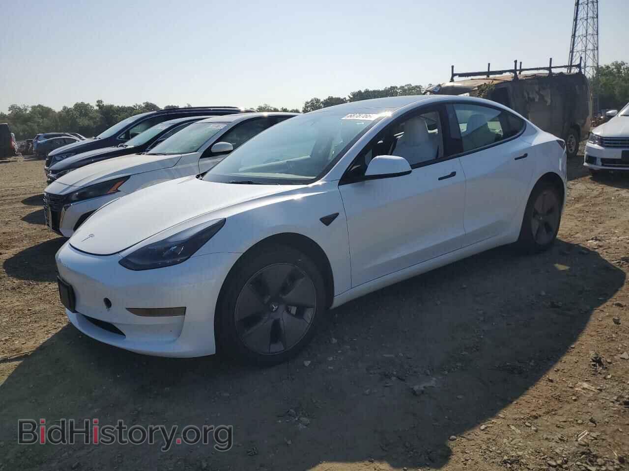 Photo 5YJ3E1EA0PF513220 - TESLA MODEL 3 2023