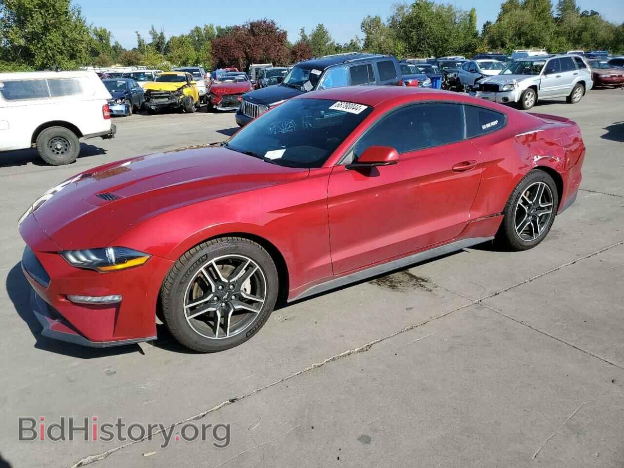 Photo 1FA6P8TH7L5191354 - FORD ALL Models 2020