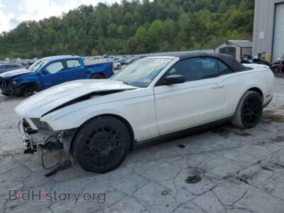 2011 Ford ALL MODELS, белый — VIN 1ZVBP8EM8B5163464, Copart