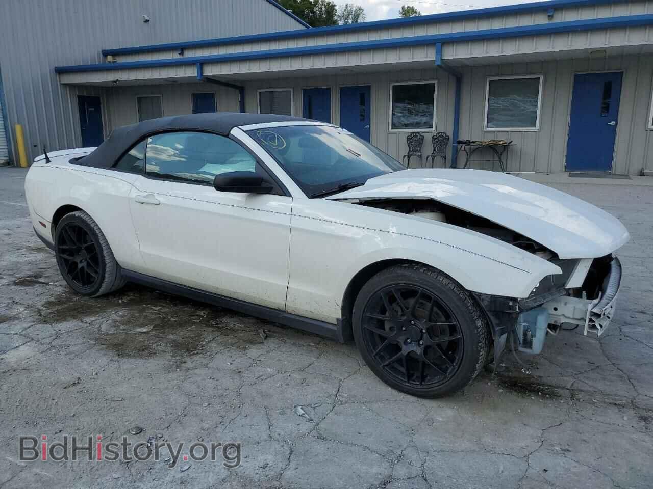 2011 FORD ALL Models - VIN: 1ZVBP8EM8B5163464 - Фото 4
