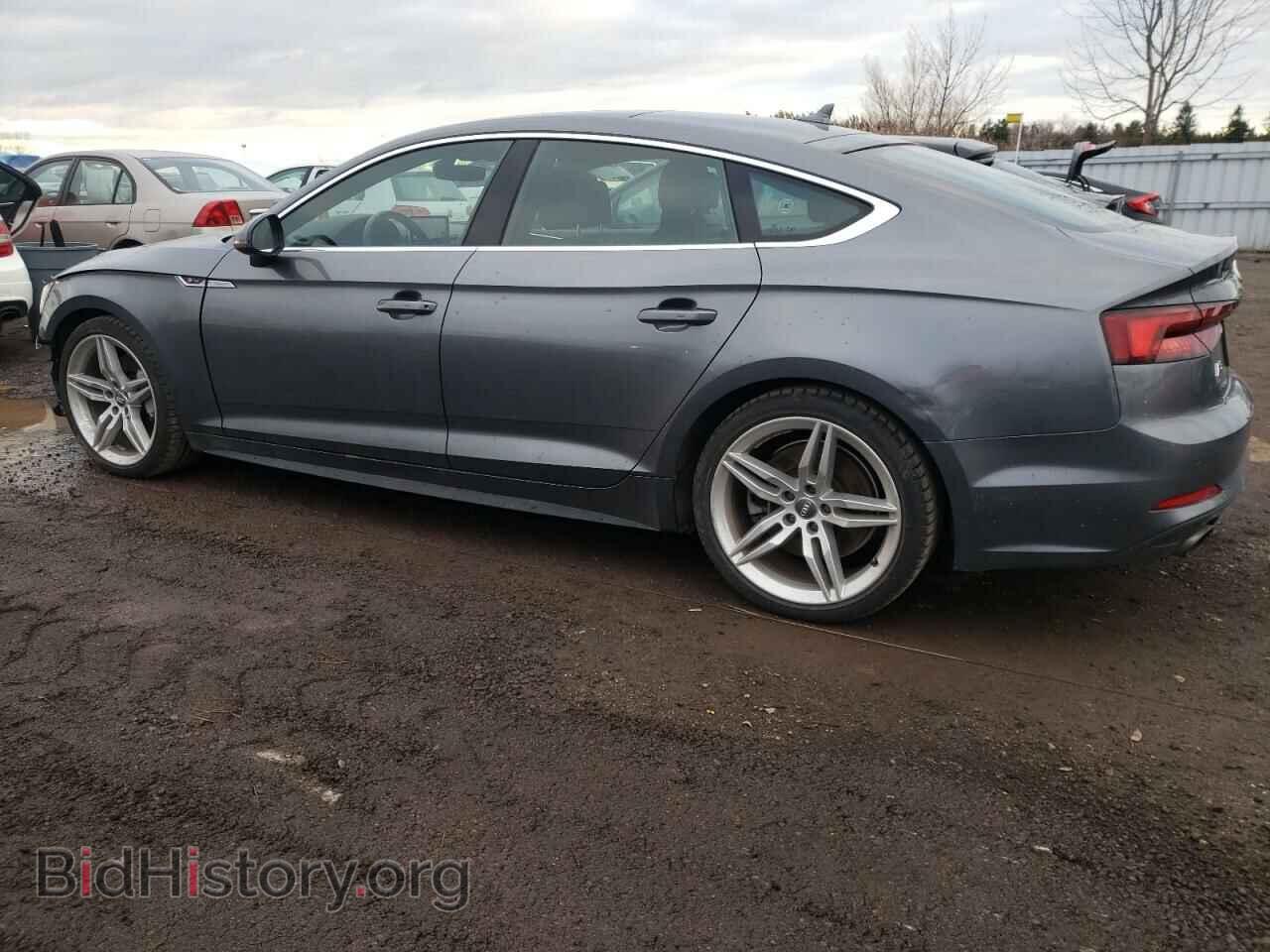 2019 AUDI A5 - VIN: WAUENCF58KA009308 - Фото 2