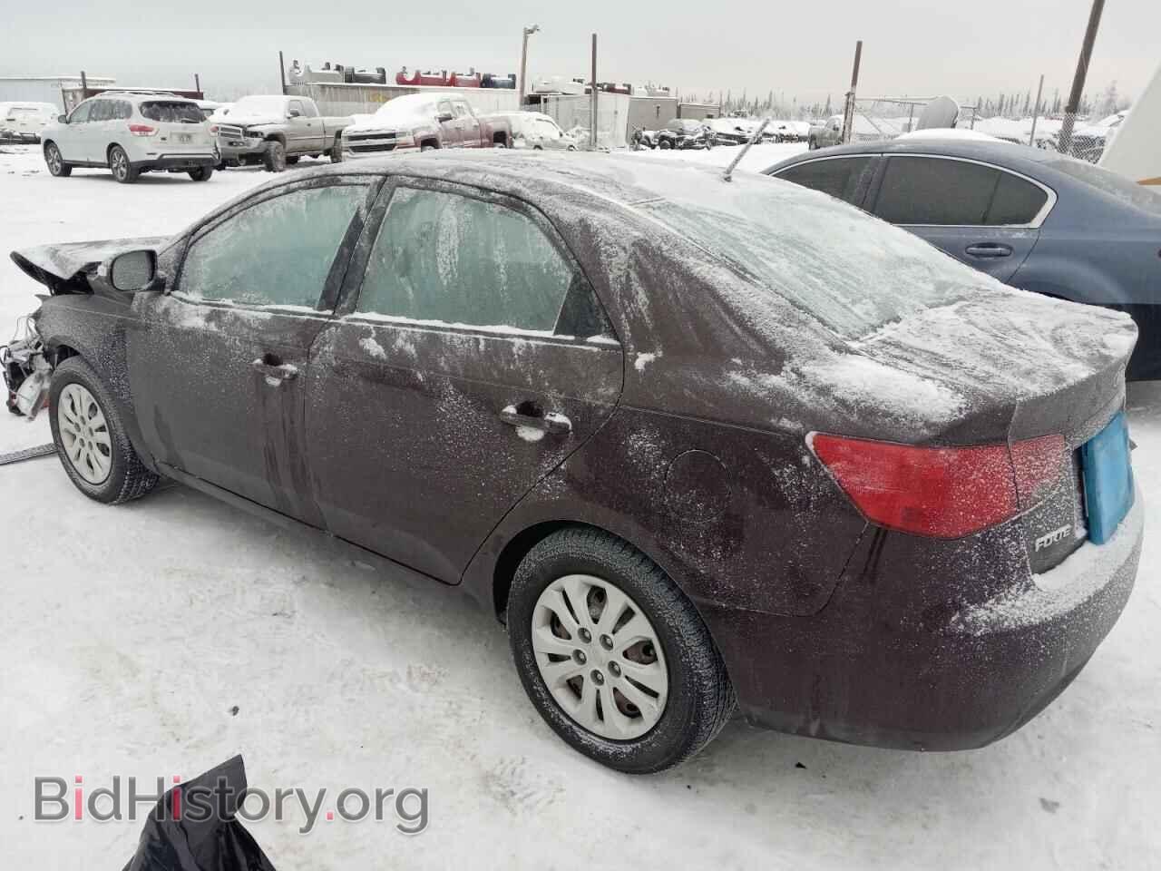 2010 KIA FORTE - VIN: KNAFU4A26A5056063 - Фото 2