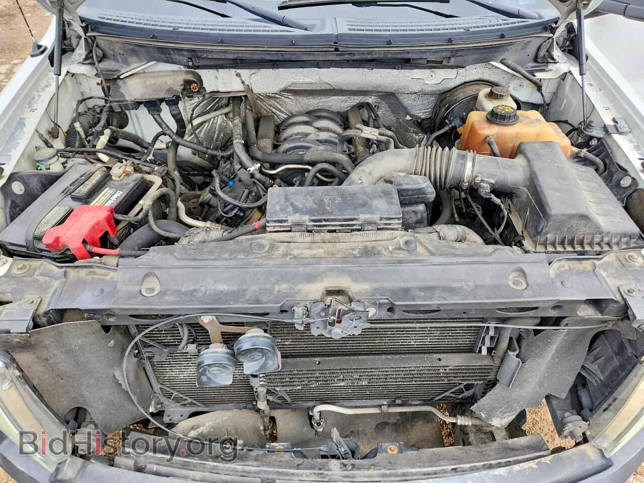 2012 FORD F150 - VIN: 1FTVX1CF1CKD12702 - Фото 11