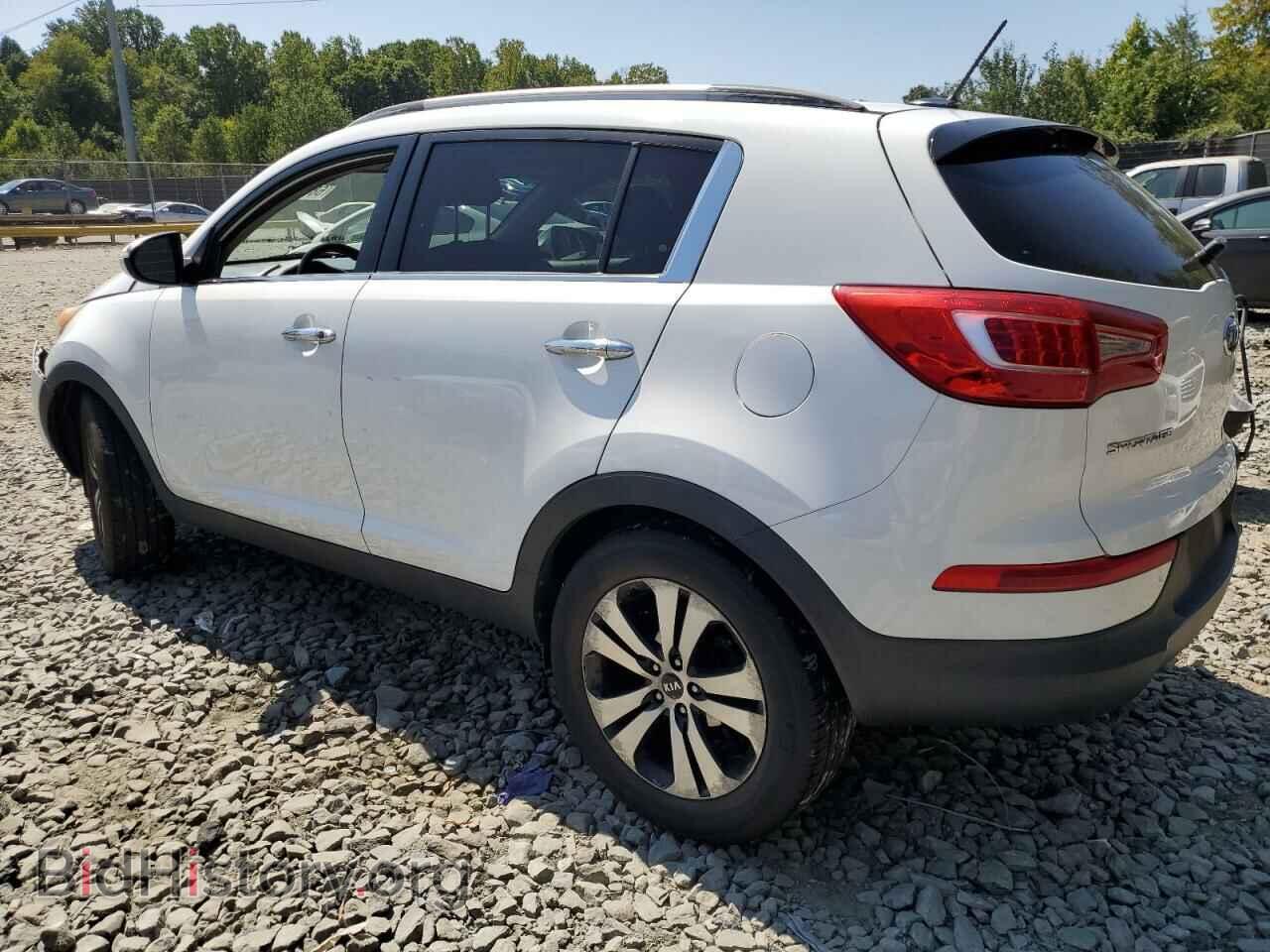 2011 KIA SPORTAGE - VIN: KNDPC3A24B7019538 - Фото 2