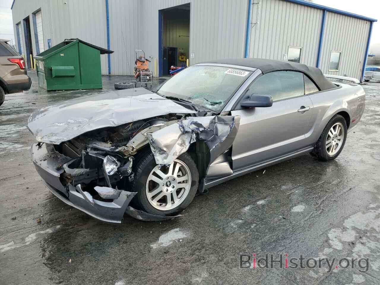 Photo 1ZVHT85H065218245 - FORD MUSTANG 2006