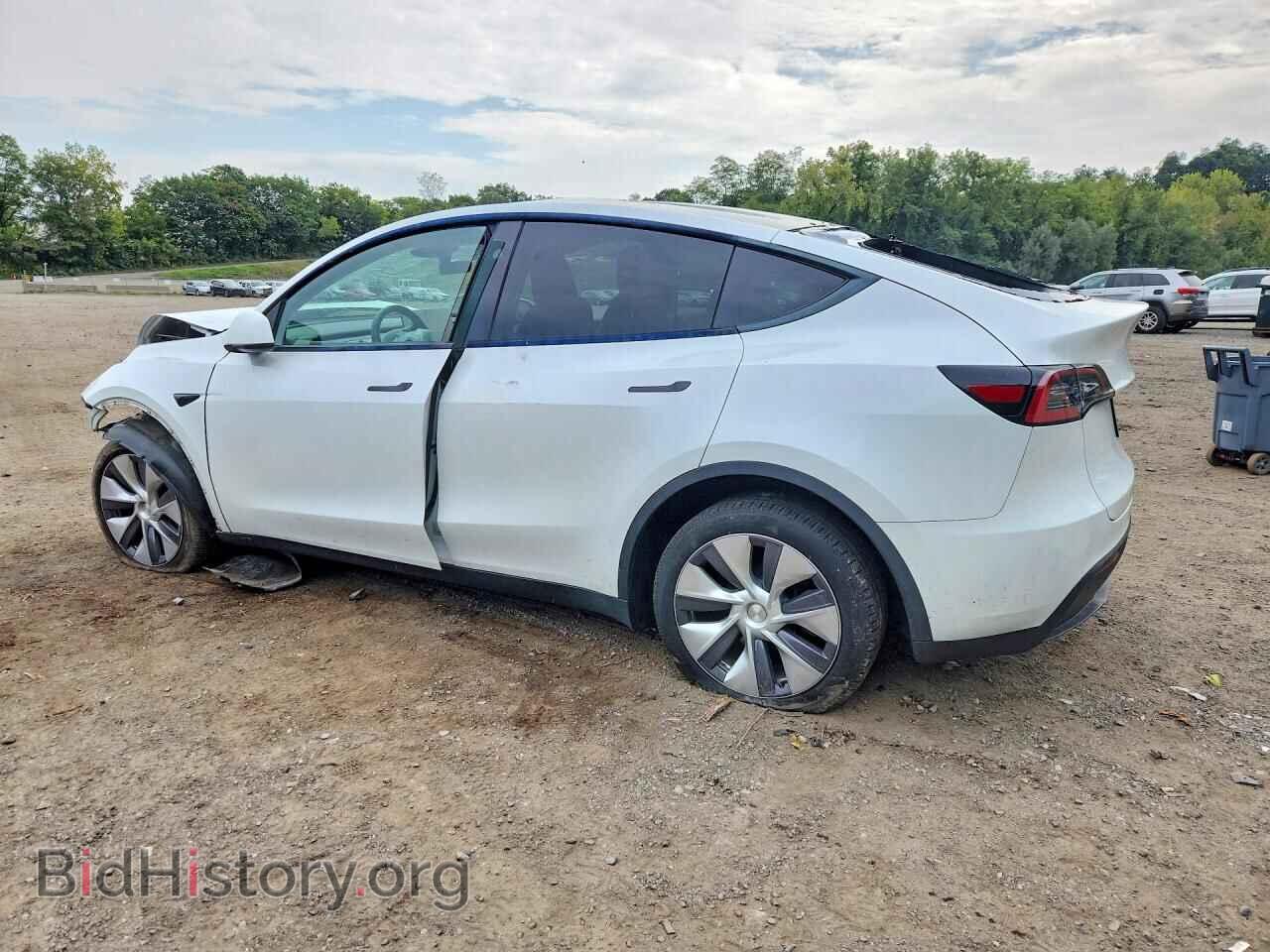 2024 TESLA MODEL Y - VIN: 7SAYGDEE1RA259976 - Фото 2