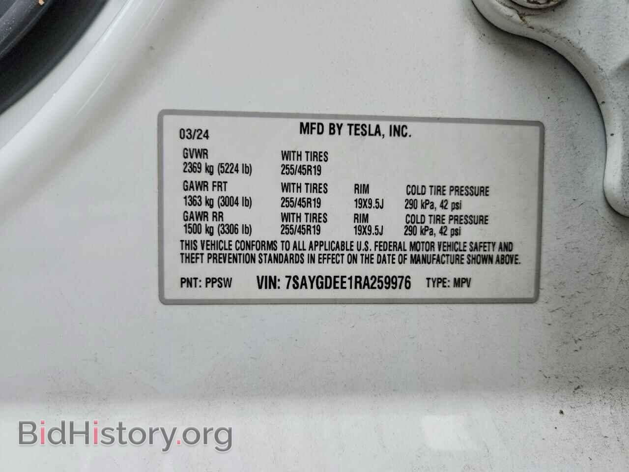 2024 TESLA MODEL Y - VIN: 7SAYGDEE1RA259976 - Фото 13
