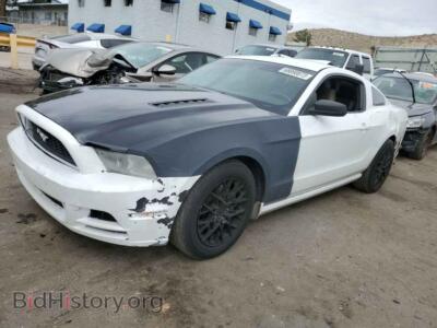 2014 Ford ALL MODELS Mustang, белый — VIN 1ZVBP8AM3E5309912, Copart