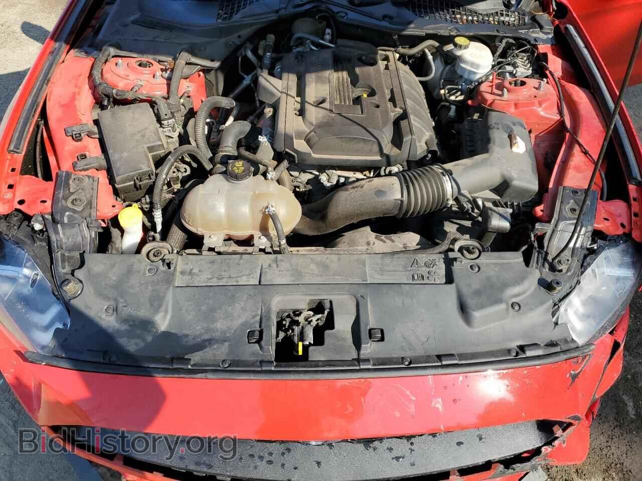 2019 FORD ALL Models - VIN: 1FA6P8TH1K5117961 - Photo 11