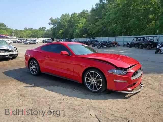 2019 FORD ALL Models - VIN: 1FA6P8TH1K5117961 - Photo 13