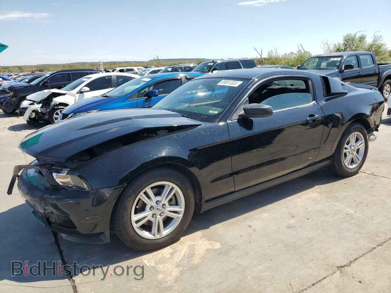Фотография 1ZVBP8AM7B5157435 - FORD ALL Models 2011