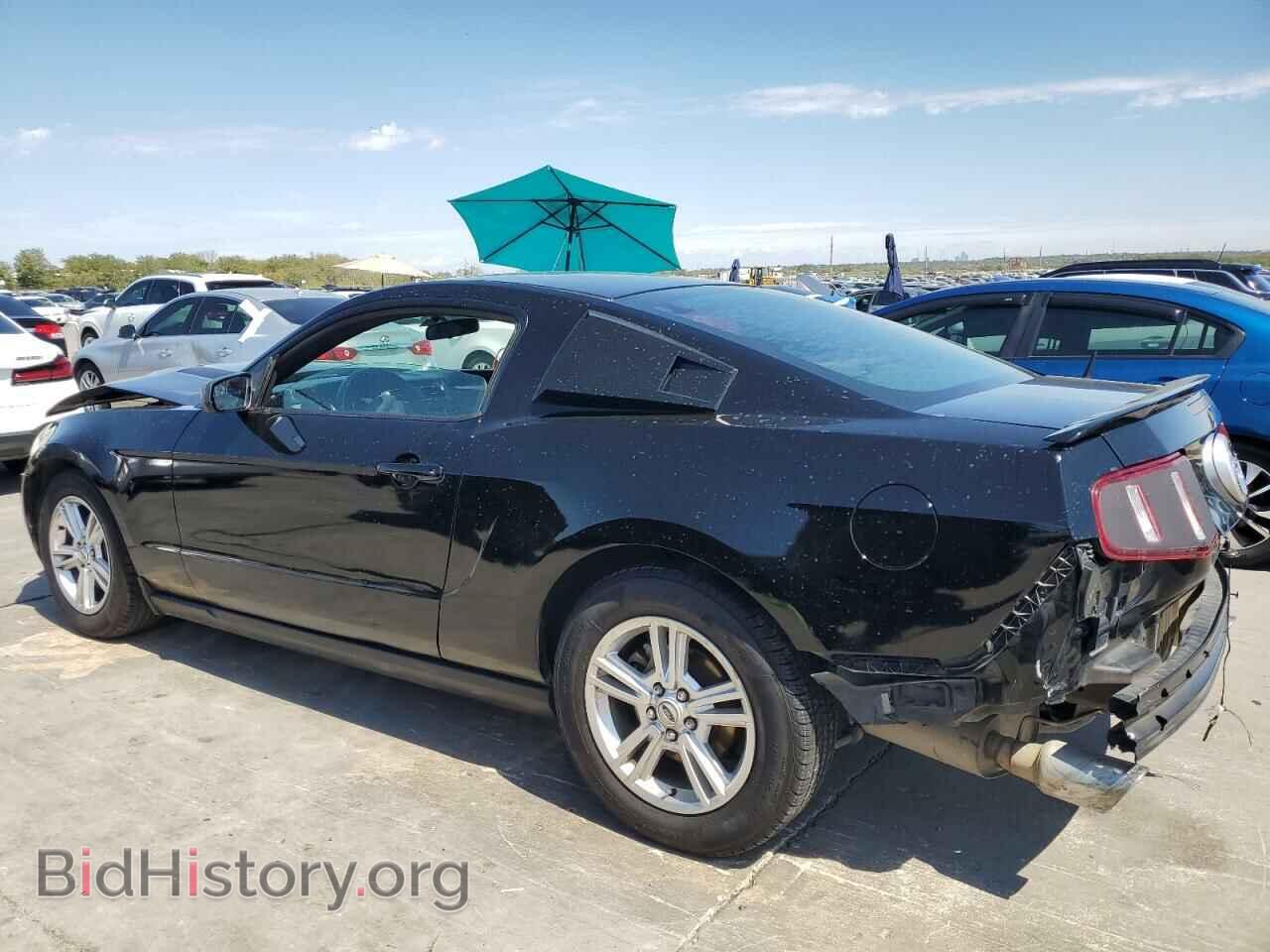 2011 FORD ALL Models - VIN: 1ZVBP8AM7B5157435 - Фото 2