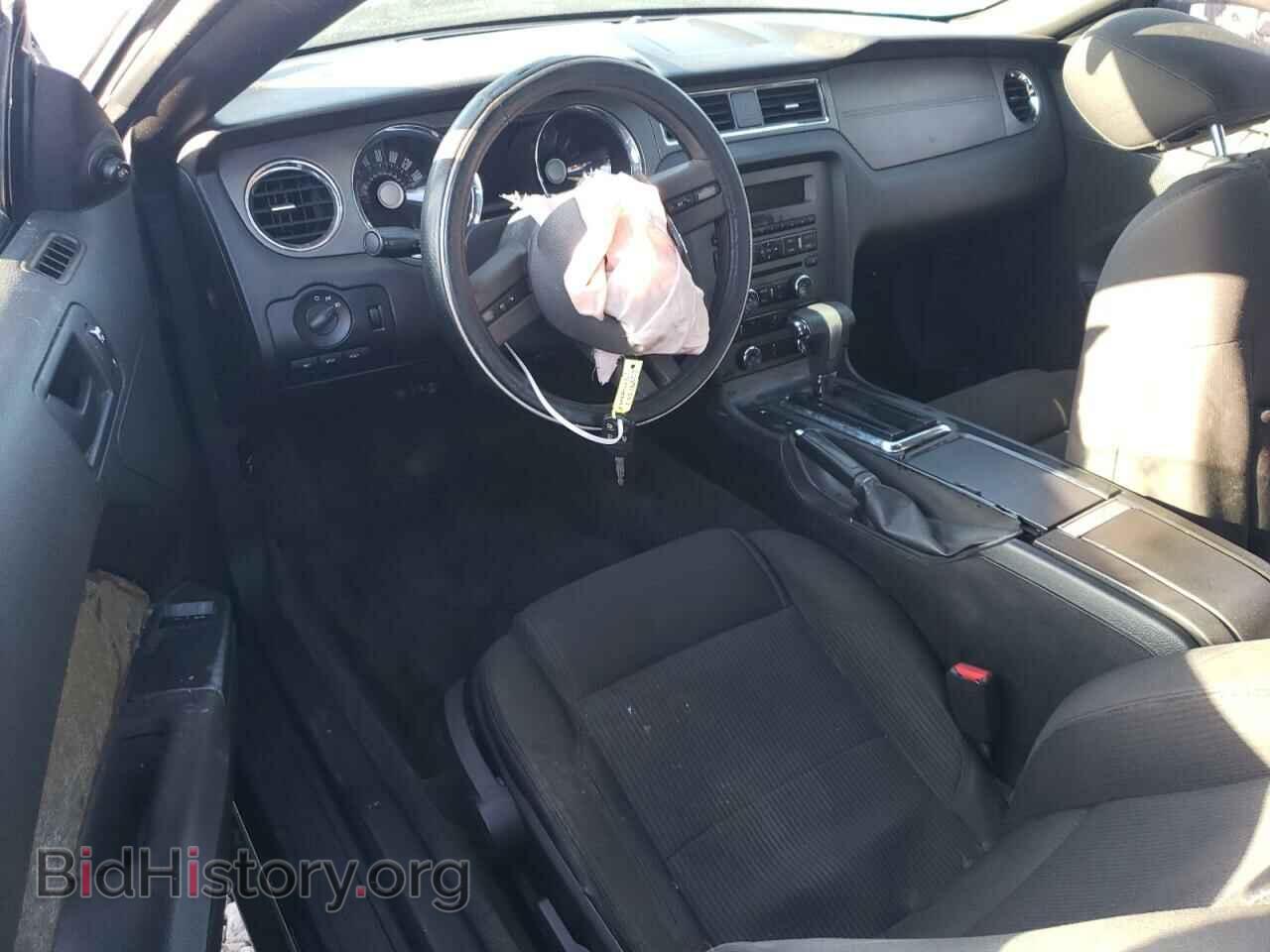 2011 FORD ALL Models - VIN: 1ZVBP8AM7B5157435 - Фото 8