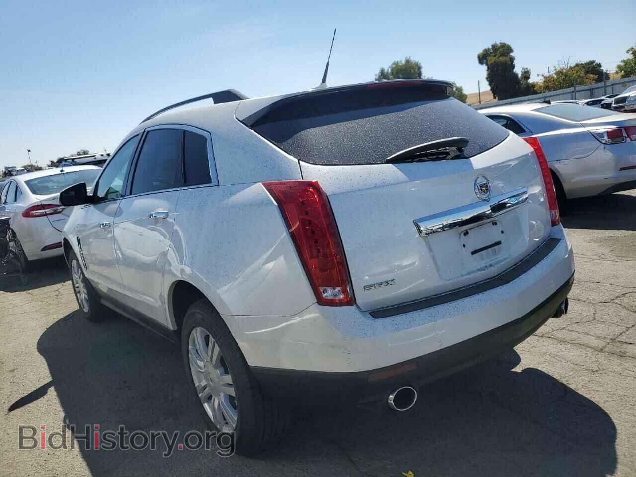 2010 CADILLAC SRX - VIN: 3GYFNGEY1AS598381 - Фото 2