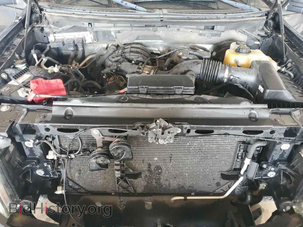 2013 FORD All Models - VIN: 1FTMF1CM5DFD99298 - Photo 11