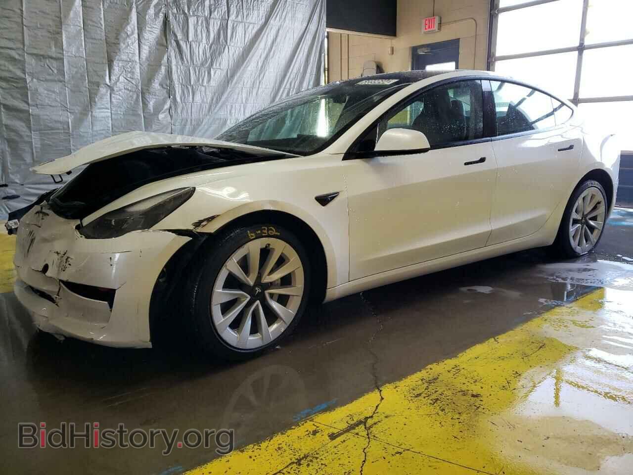 Photo 5YJ3E1EA0PF436459 - TESLA MODEL 3 2023
