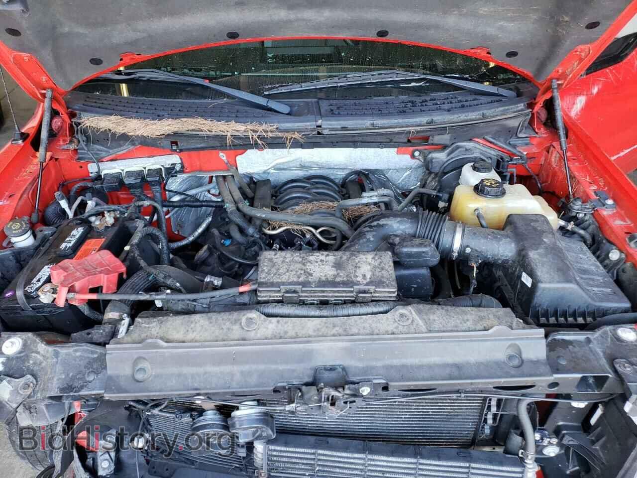 2013 FORD F-150 - VIN: 1FTFX1EF0DFD73289 - Фото 11