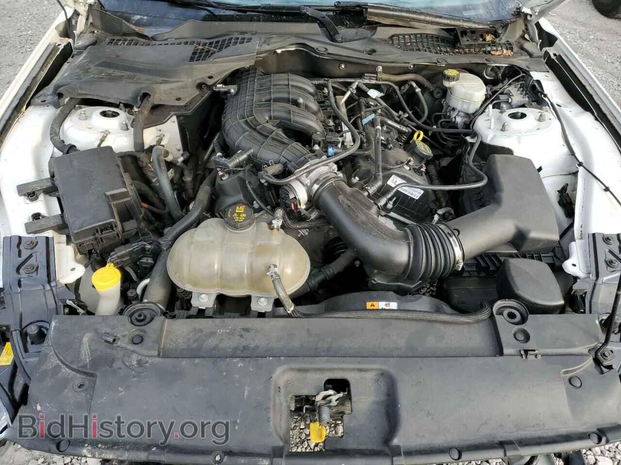 2017 FORD ALL Models - VIN: 1FA6P8AM6H5290528 - Photo 11