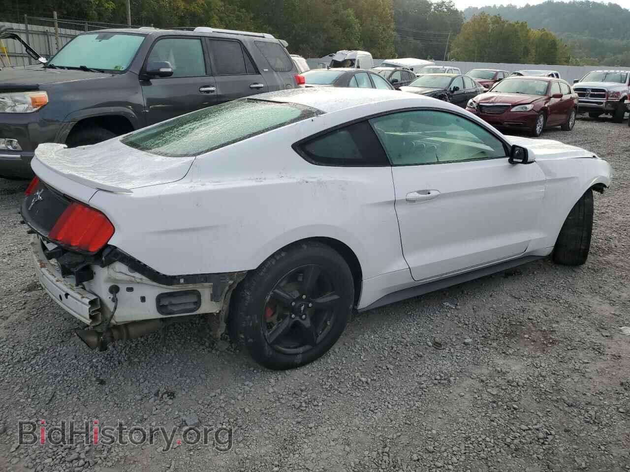 2017 FORD ALL Models - VIN: 1FA6P8AM6H5290528 - Photo 3