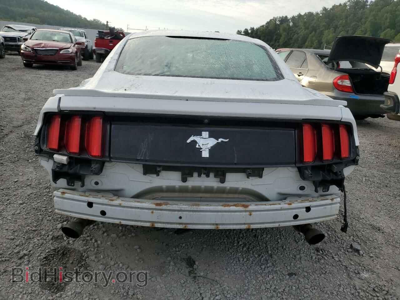 2017 FORD ALL Models - VIN: 1FA6P8AM6H5290528 - Photo 6