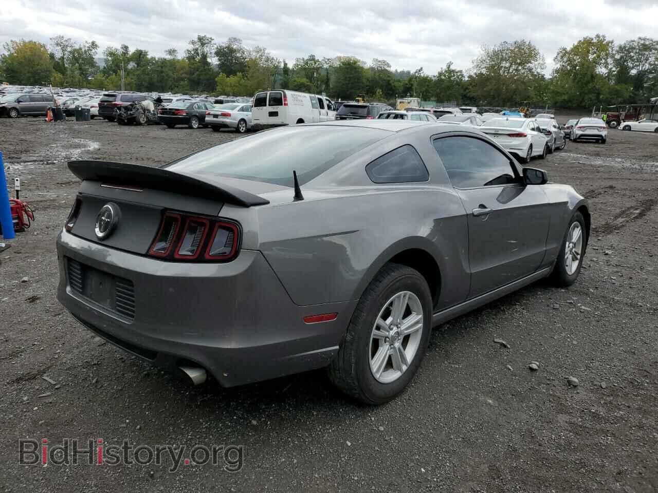 2013 FORD ALL Models - VIN: 1ZVBP8AM2D5246980 - Фото 3