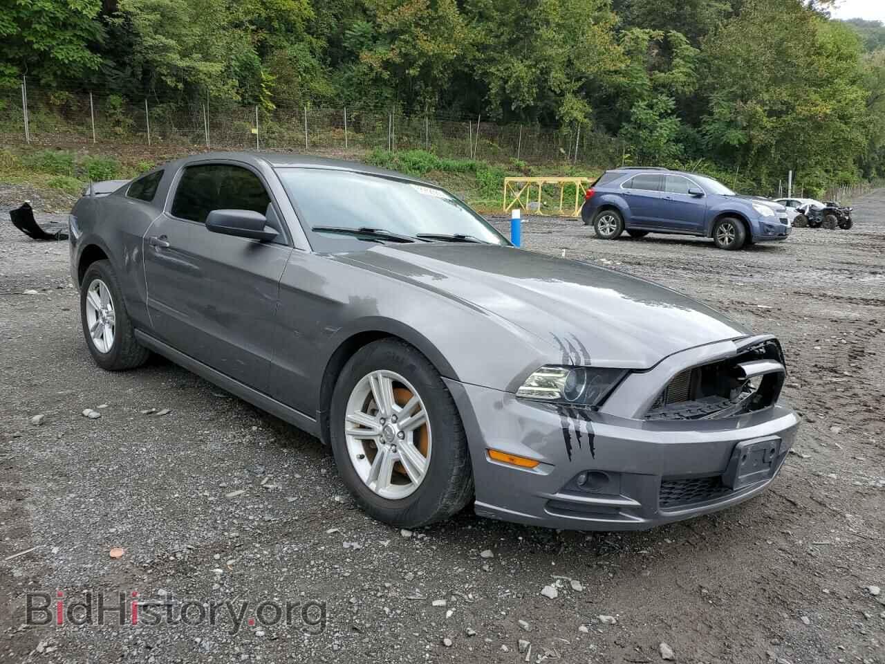 2013 FORD ALL Models - VIN: 1ZVBP8AM2D5246980 - Фото 4