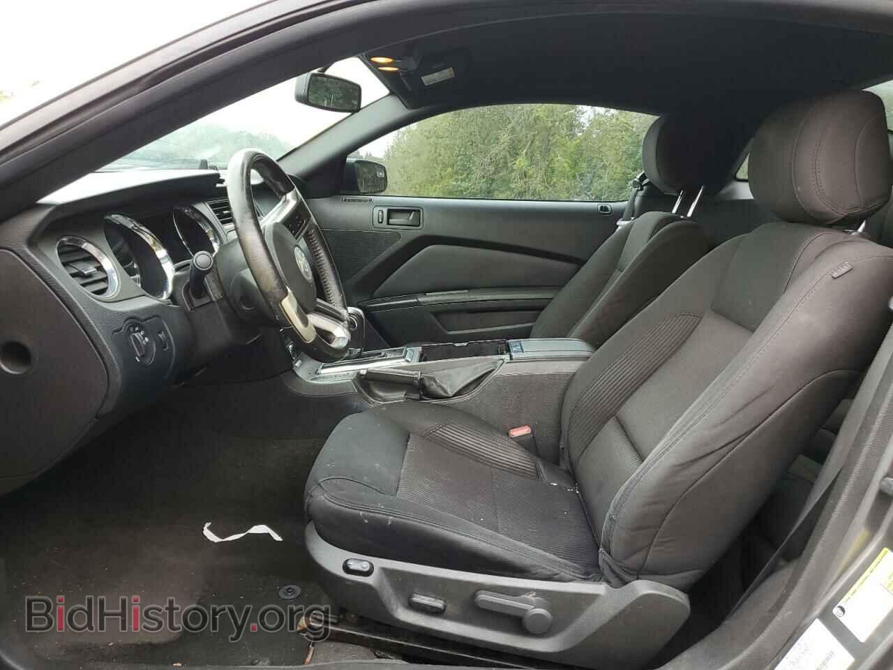 2013 FORD ALL Models - VIN: 1ZVBP8AM2D5246980 - Фото 7