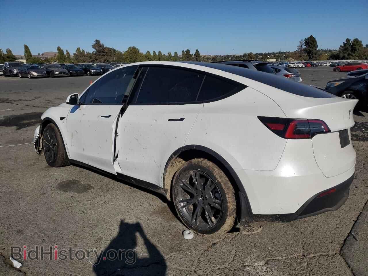 2025 TESLA MODEL Y - VIN: 7SAYGDEE3SF236434 - Фото 2