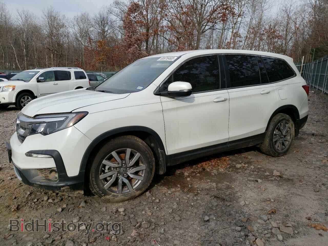 Photo 5FNYF5H59MB022066 - HONDA PILOT 2021