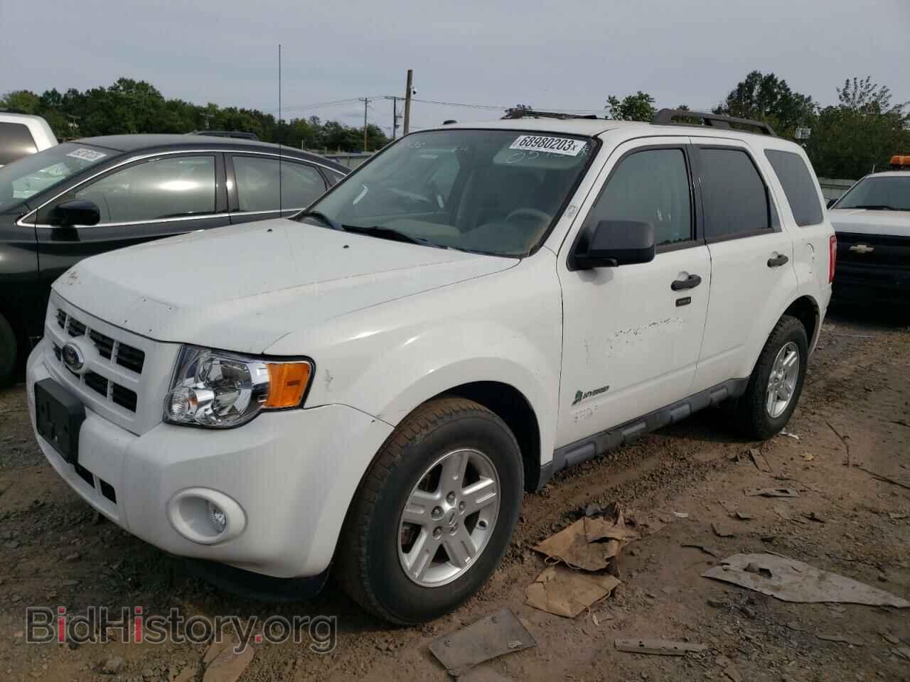 Фотография 1FMCU5K39BKB54036 - FORD ESCAPE 2011