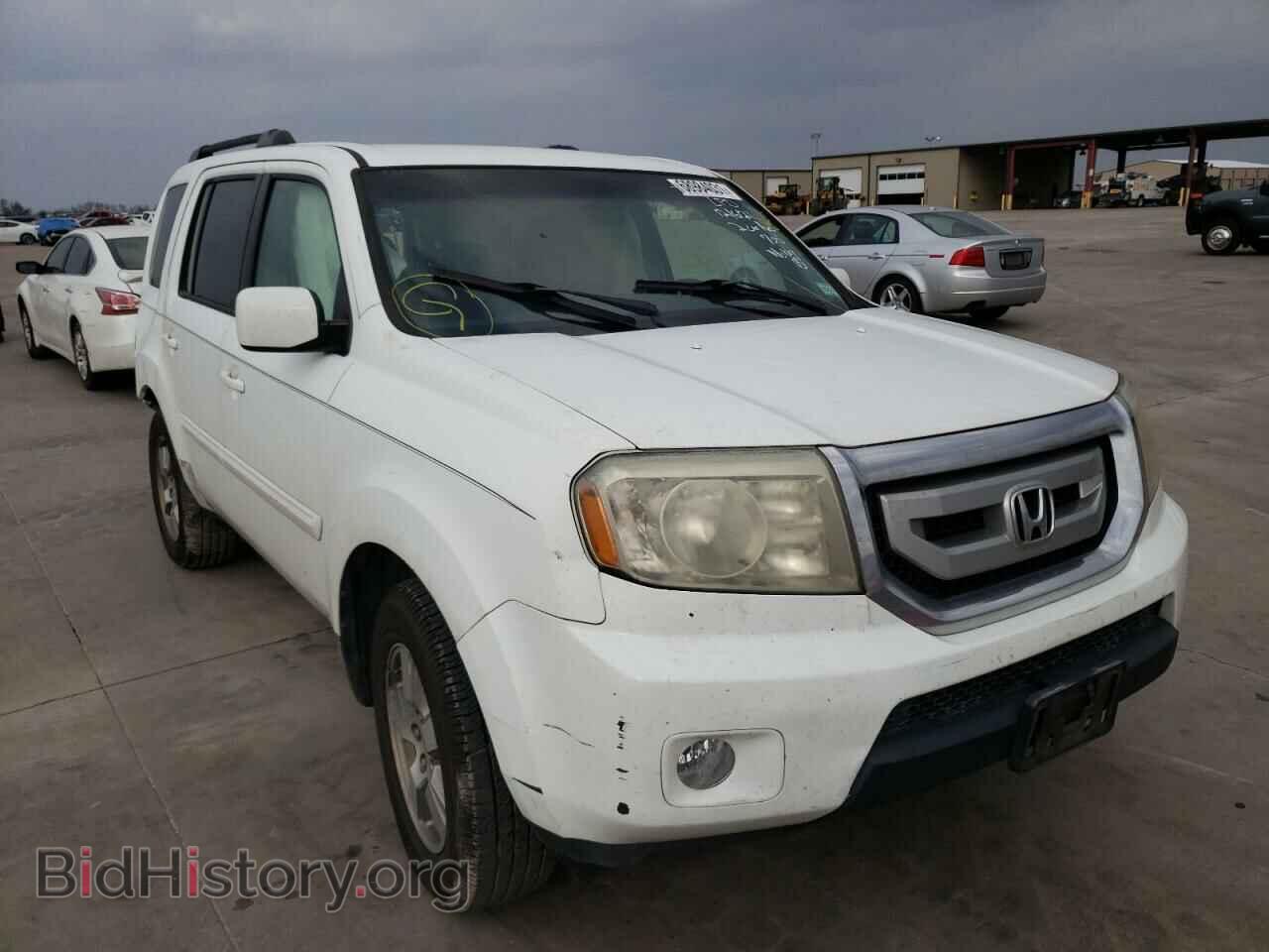 Фотография 5FNYF38499B016660 - HONDA PILOT 2009