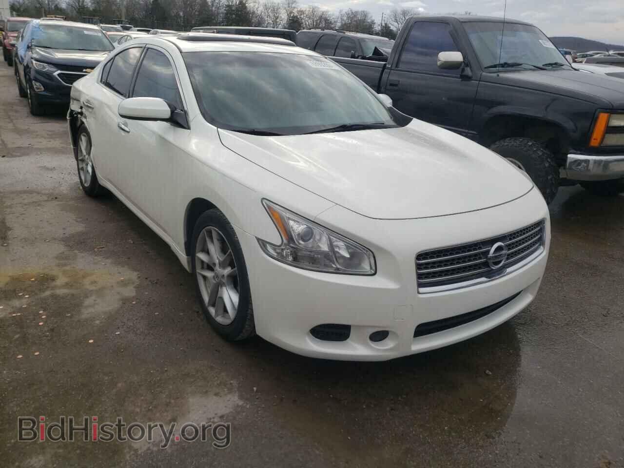 Photo 1N4AA5AP1AC813475 - NISSAN MAXIMA 2010