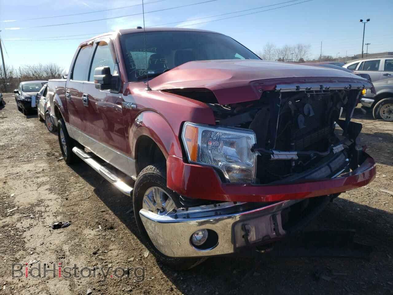 Фотография 1FTFW1EF6DFD12175 - FORD F-150 2013