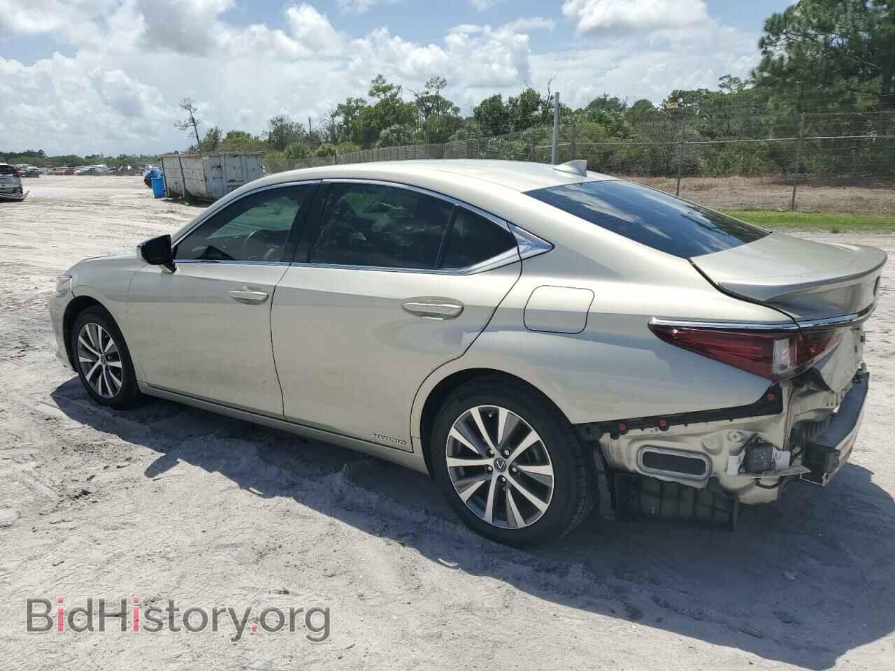 2020 LEXUS ES300 - VIN: 58AD21B19LU012172 - Фото 2