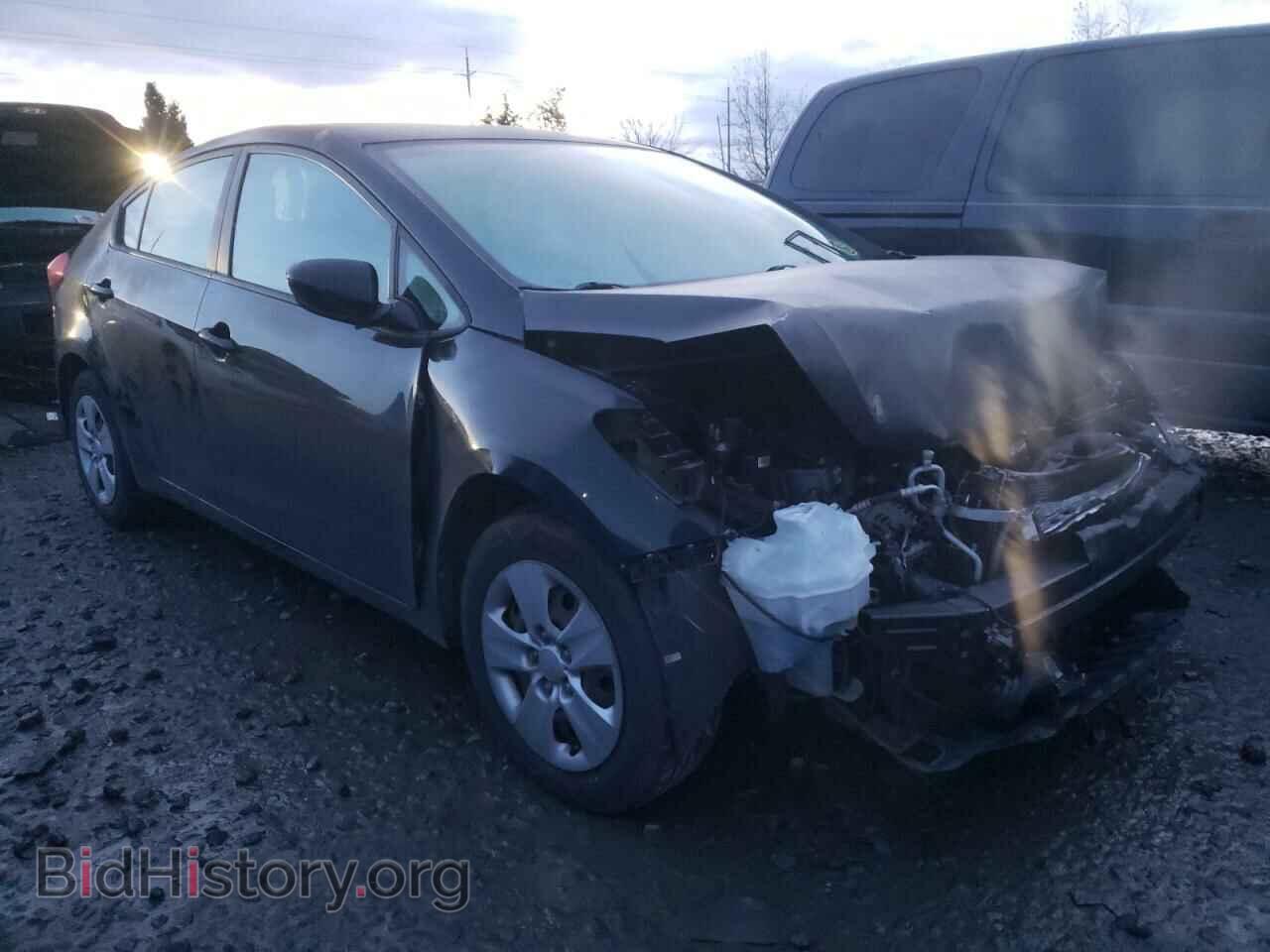 Фотография KNAFK4A68E5234814 - KIA FORTE 2014