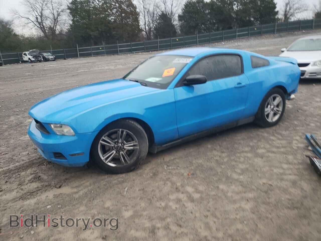 Фотография 1ZVBP8AM2C5273904 - FORD MUSTANG 2012