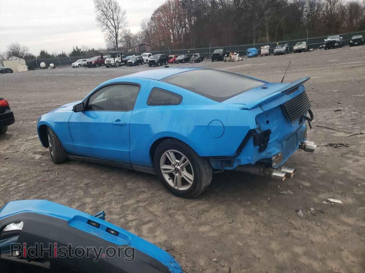 2012 FORD MUSTANG - VIN: 1ZVBP8AM2C5273904 - Фото 2