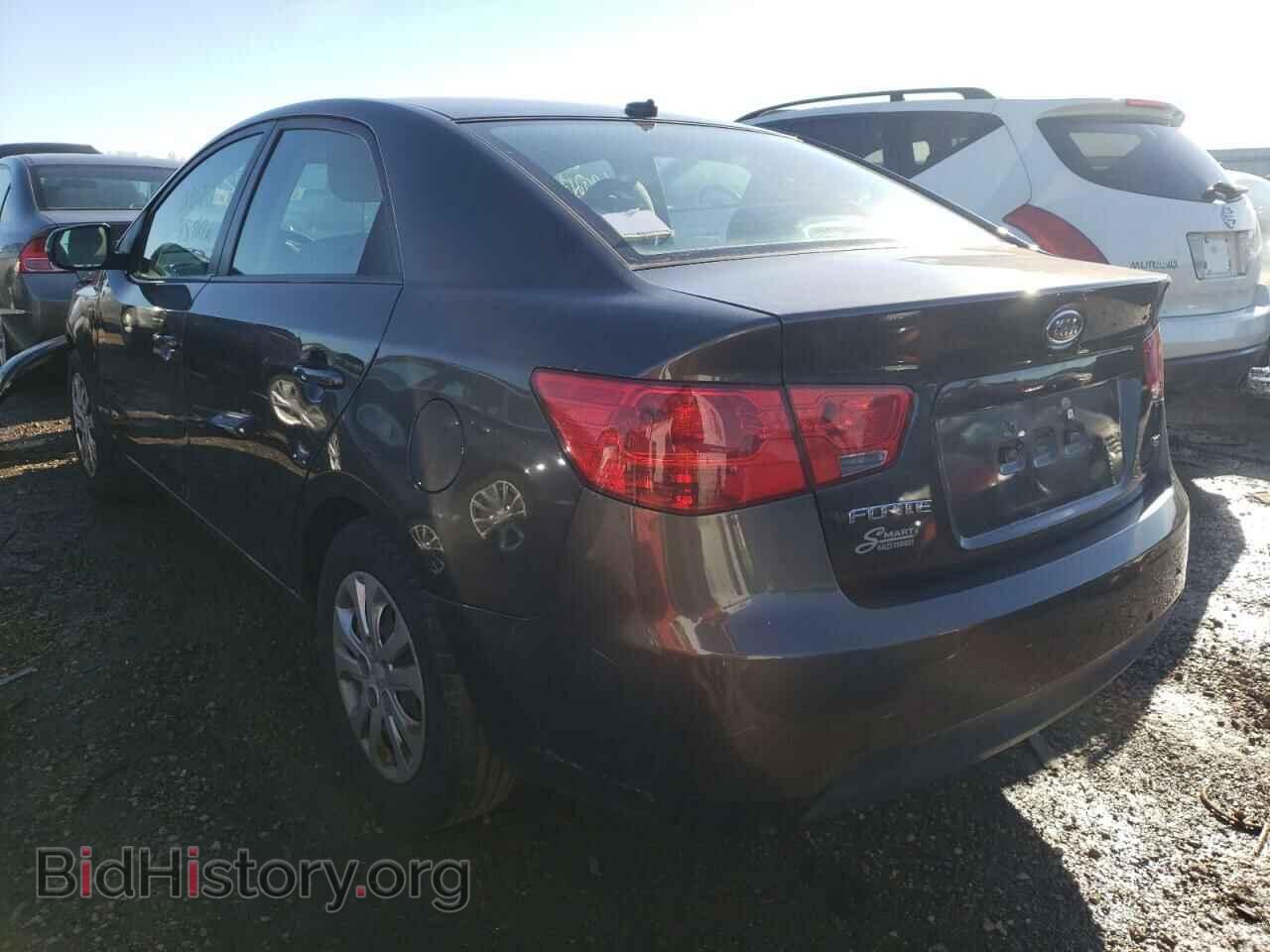 2011 KIA FORTE - VIN: KNAFU4A2XB5399668 - Фото 3