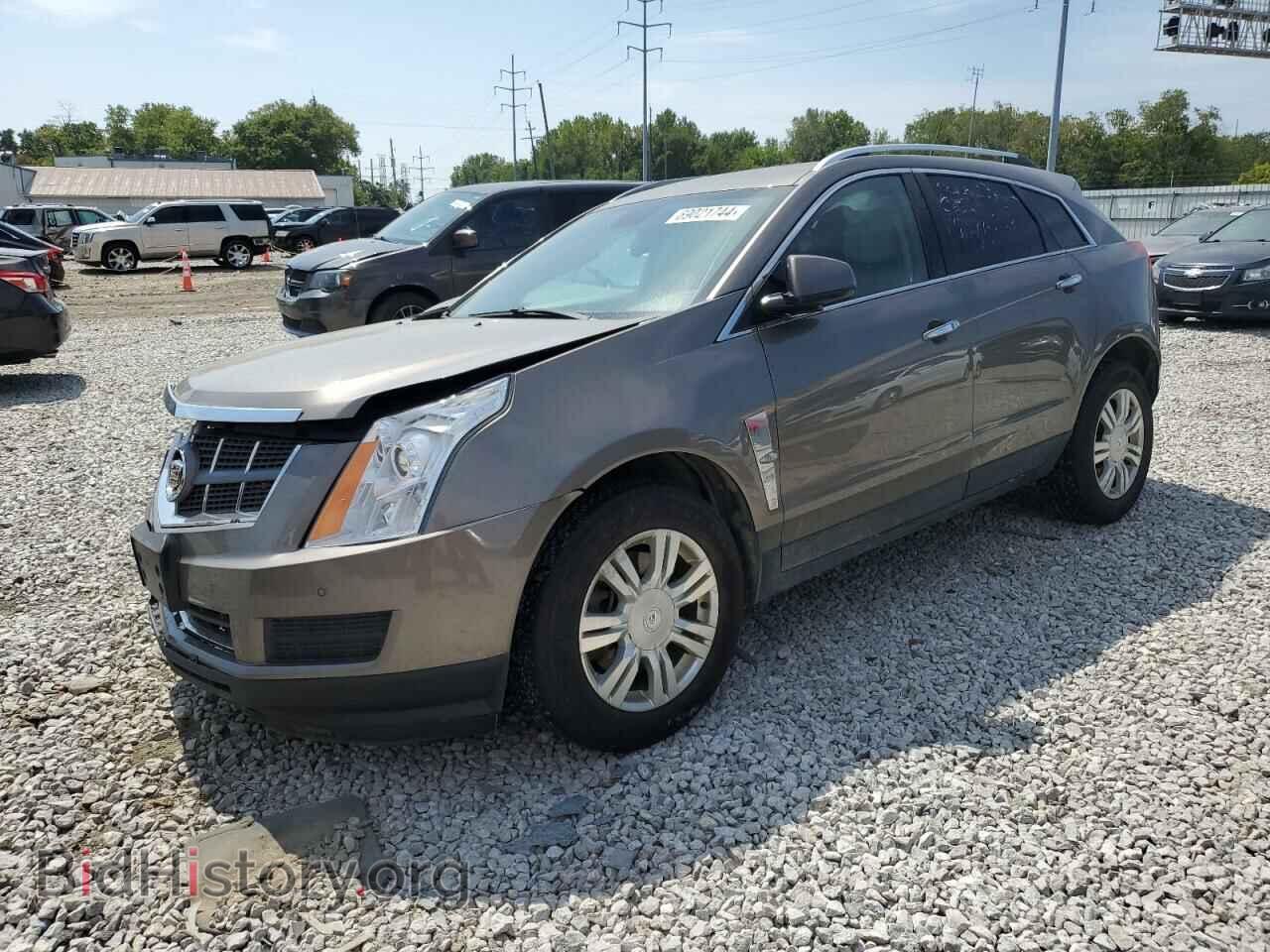 Фотография 3GYFNDE31CS589279 - CADILLAC SRX 2012