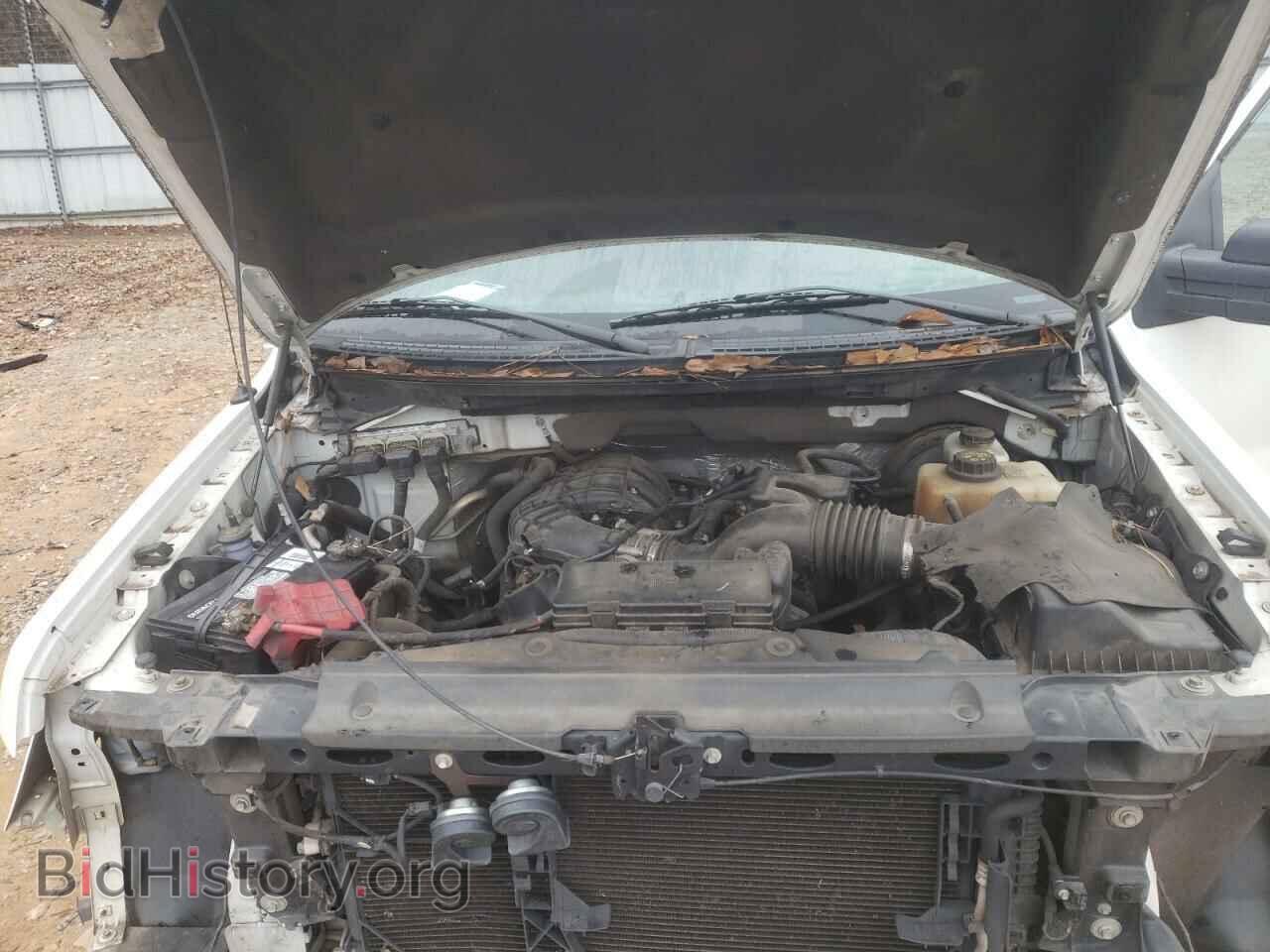 2013 FORD F150 - VIN: 1FTMF1CM3DKD84516 - Фото 7