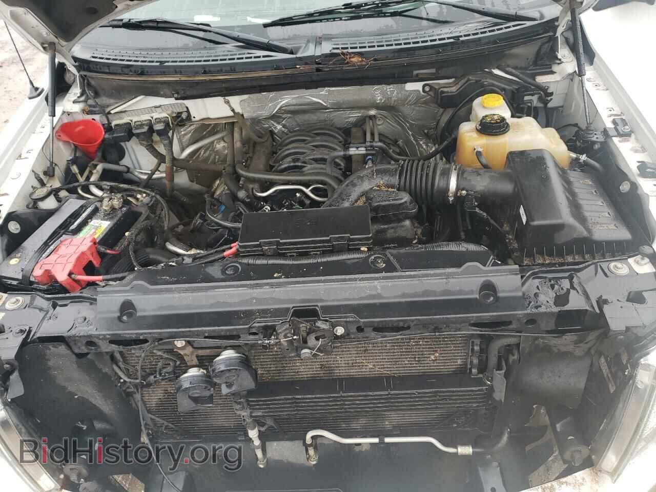 2014 FORD F-150 - VIN: 1FTFX1EF2EFC61904 - Фото 7
